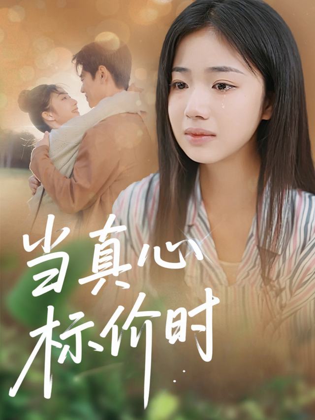 当真心标价时封面
