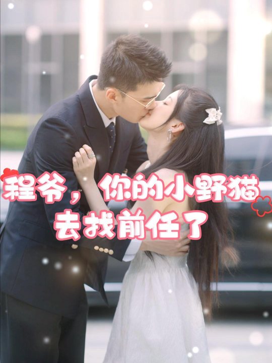程爷,你的小野猫去找前任了封面