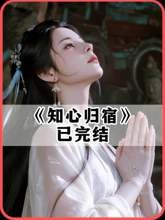 知心归宿封面