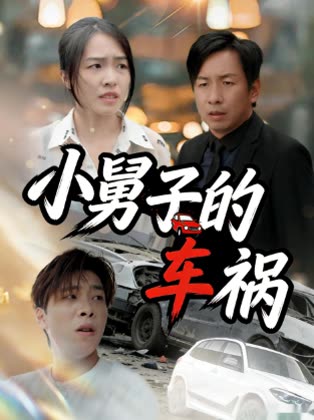 小舅子的车祸封面