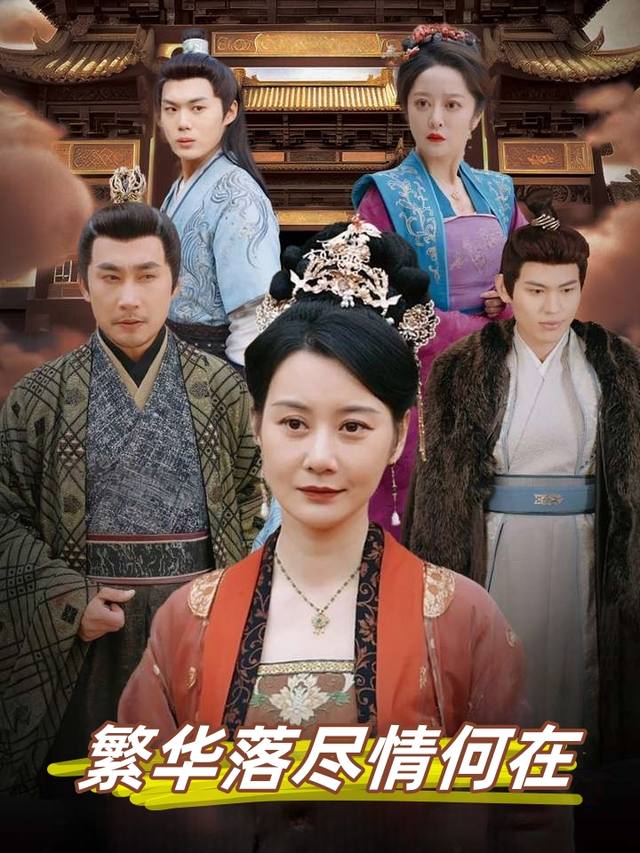 繁华落尽情何在封面