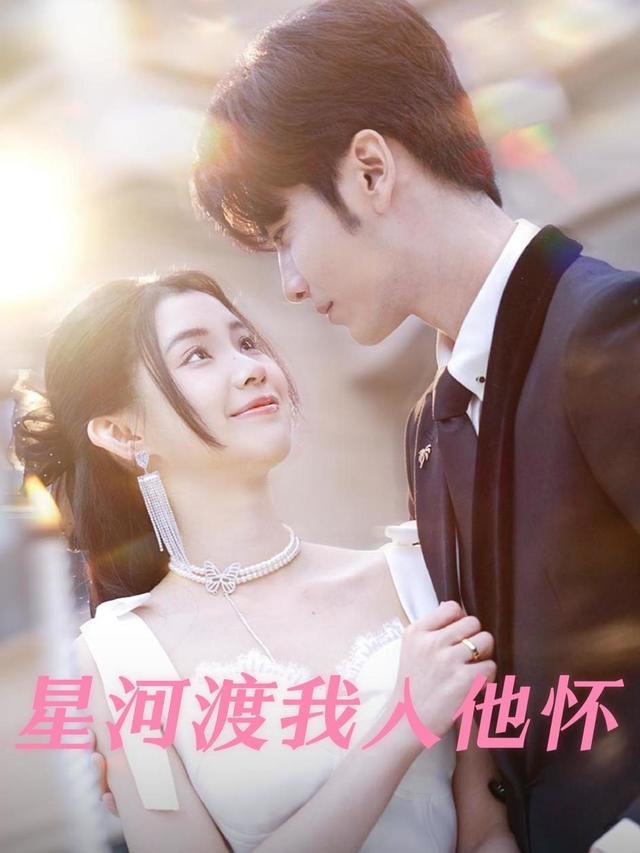 星河渡我入他怀封面
