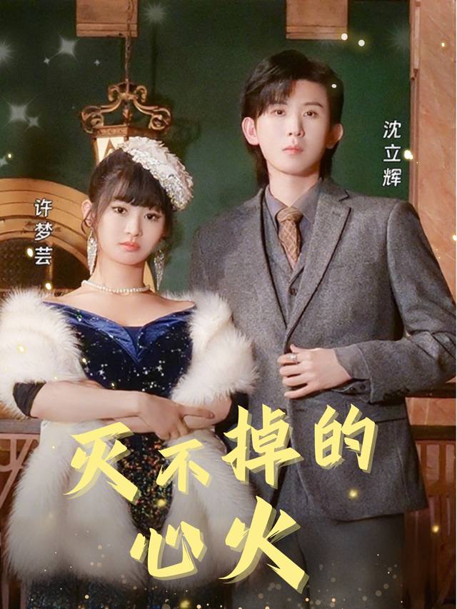 灭不掉的心火封面
