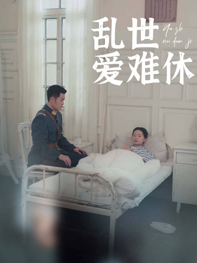 乱世爱难休封面