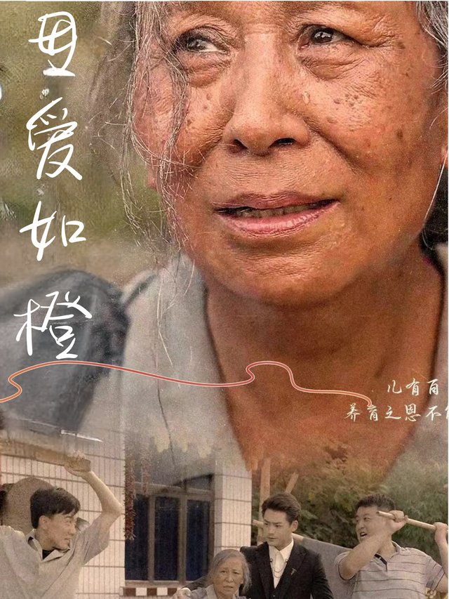 母爱如橙封面