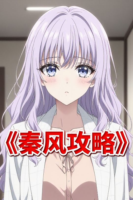 秦风攻略封面