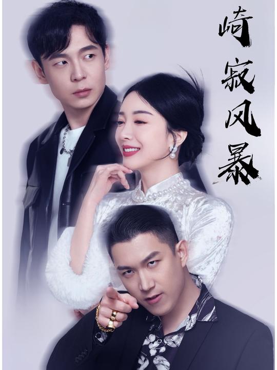 崎寂风暴封面