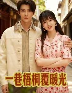 一巷梧桐覆暖光封面