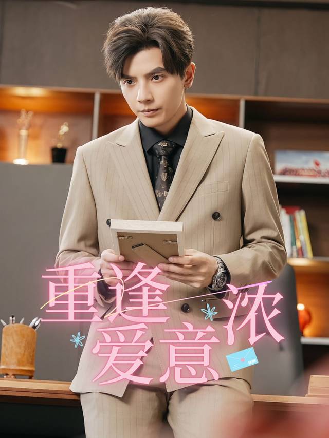 重逢爱意浓封面