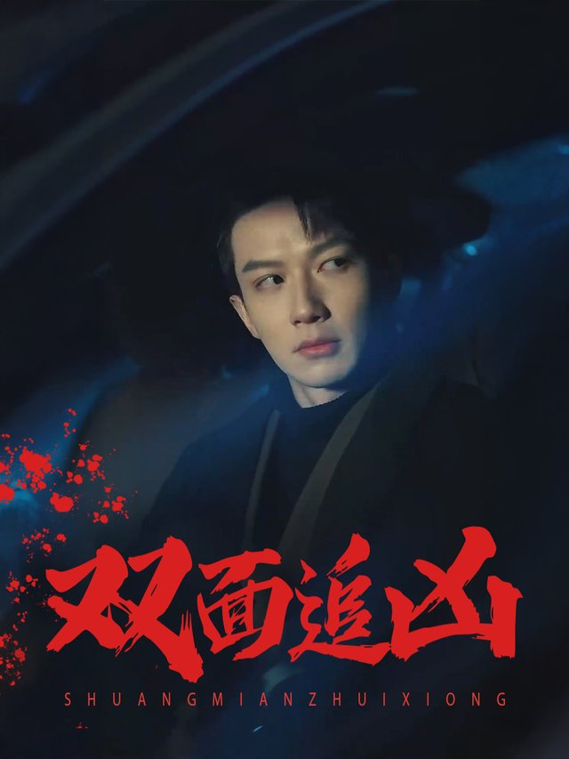 双面追凶封面