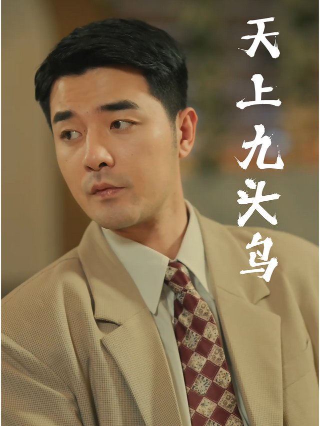天上九头鸟封面