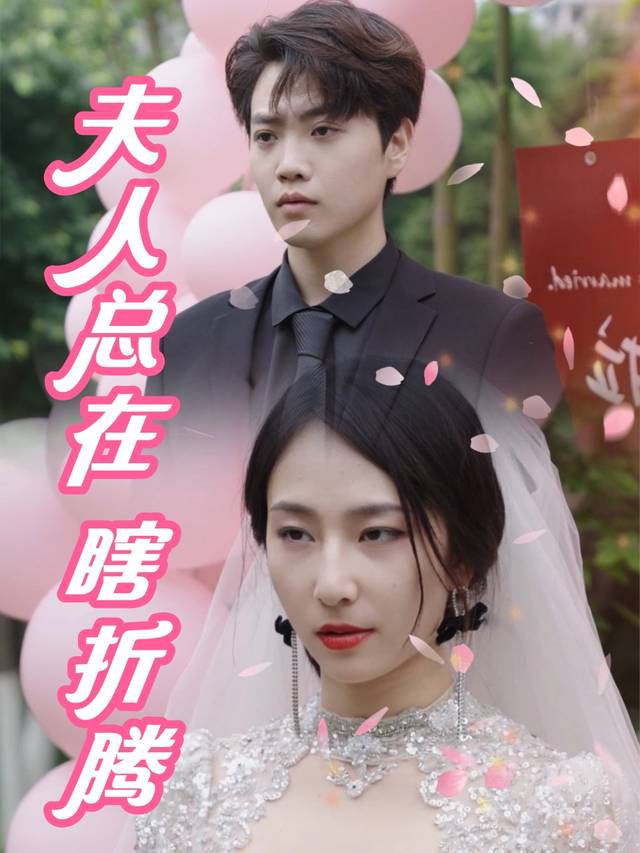 夫人总在瞎折腾封面