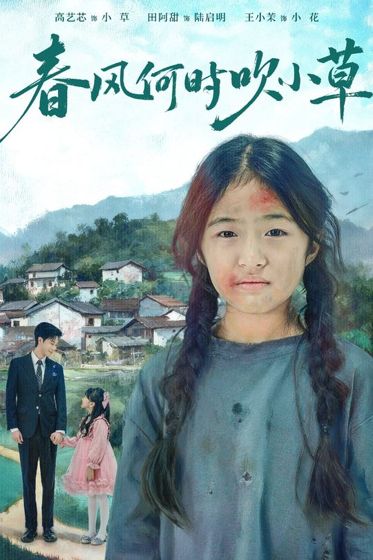 春风何时吹小草封面