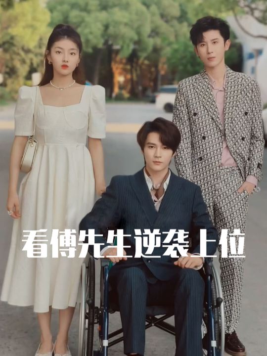 看傅先生逆袭上位封面