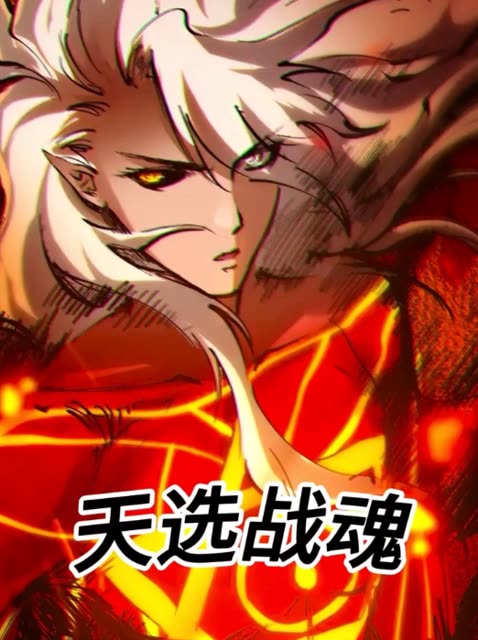 天选战魂封面