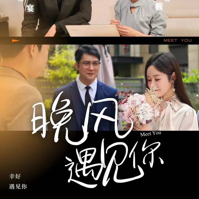 晚风遇见你D封面