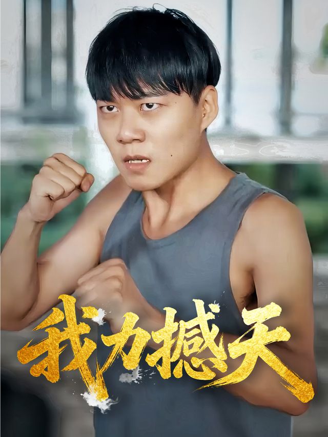 我力撼天封面