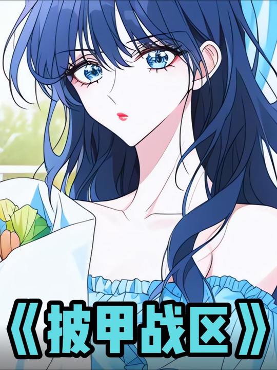 披甲战区封面