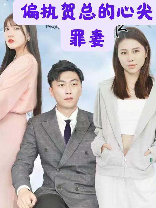 偏执贺总的心尖罪妻封面