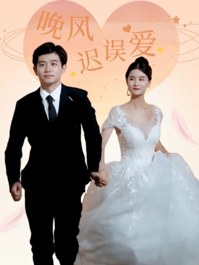 晚风迟误爱封面