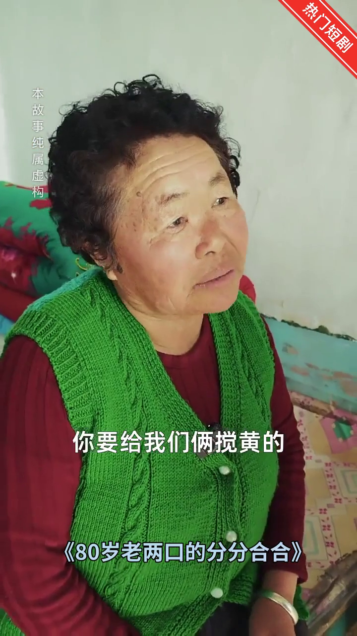 80岁老两口的分分合合封面