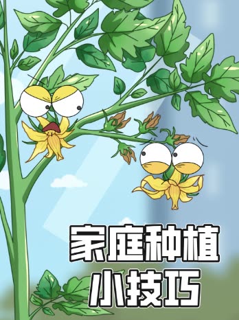 家庭种植小技巧封面