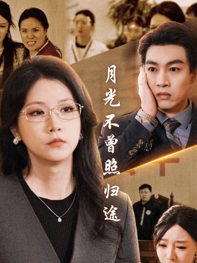 月光不曾照归途封面