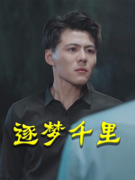 逐梦千里封面