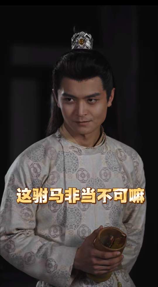 这驸马非当不可嘛封面
