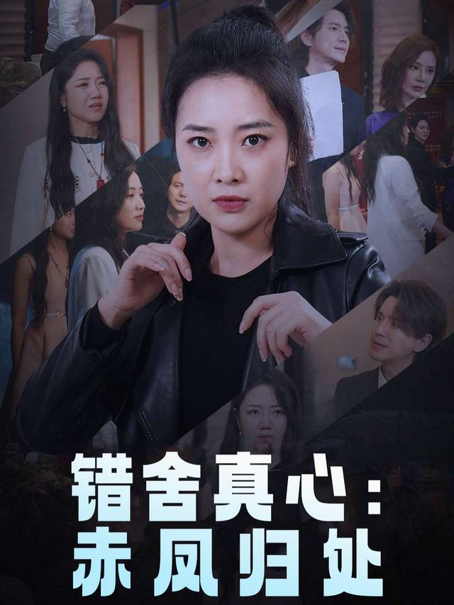 错舍真心：赤凤归处封面