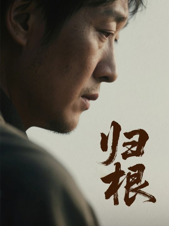 归根封面