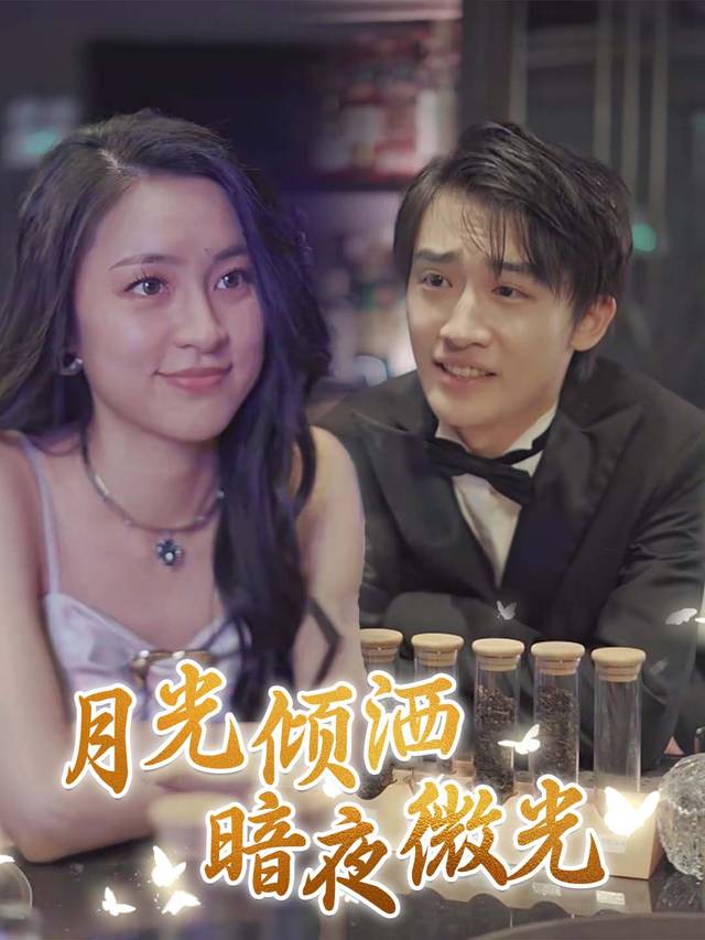 月光倾洒,暗夜微光封面