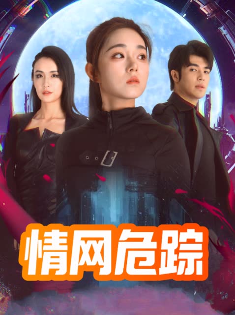 情网危踪封面