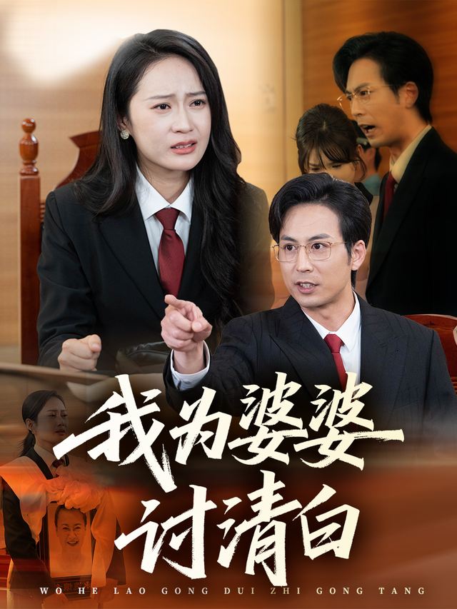 我为婆婆讨清白封面