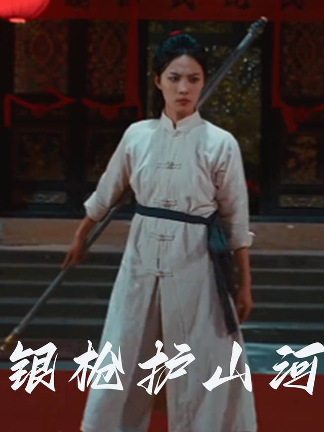 银枪护山河封面