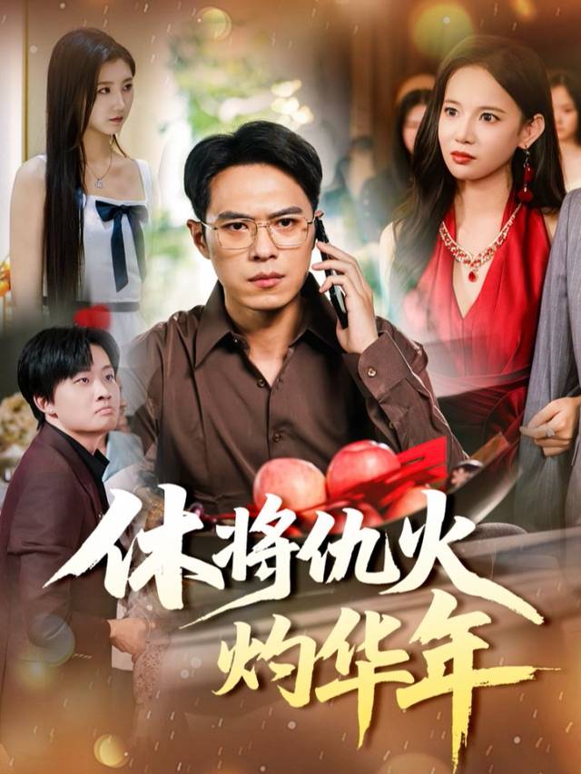 休将仇火灼华年封面