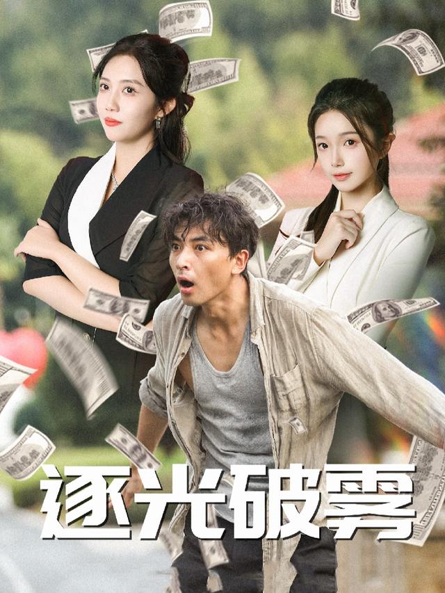 逐光破雾封面