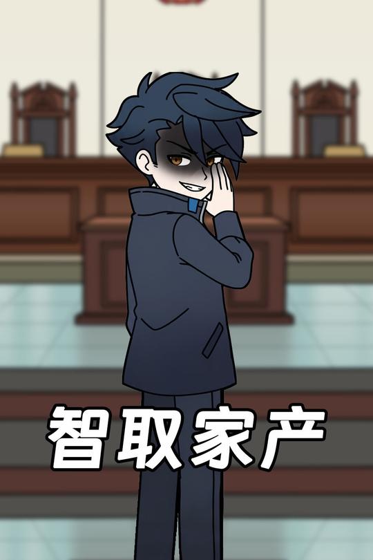 智取家产封面