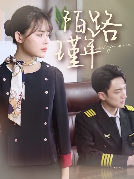 陌路瑾年封面