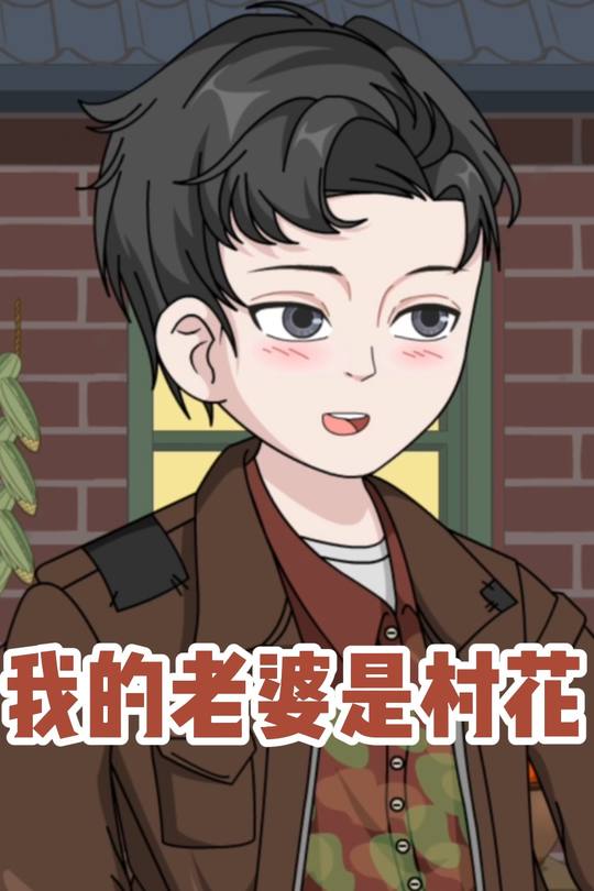 我的老婆是村花封面