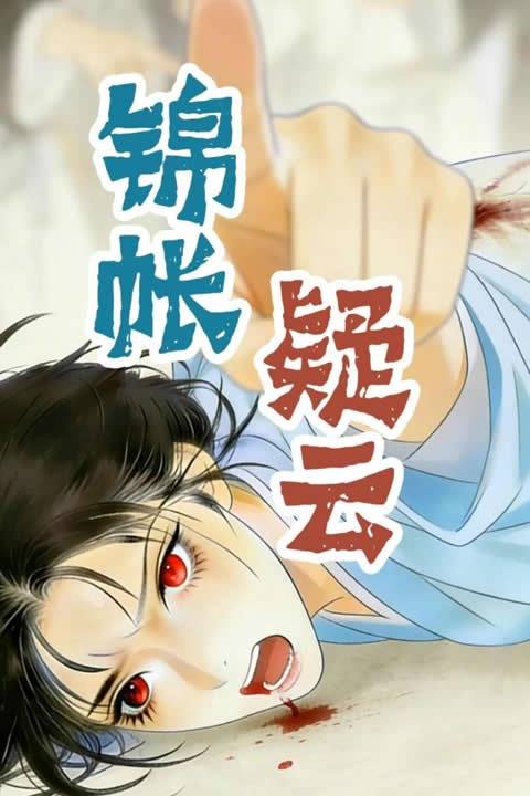 锦帐疑云封面