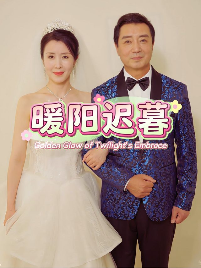 暖阳迟暮封面