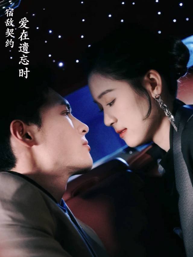 宿敌契约,爱在遗忘时封面