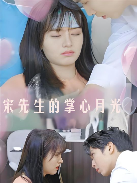 宋先生的掌心月光封面