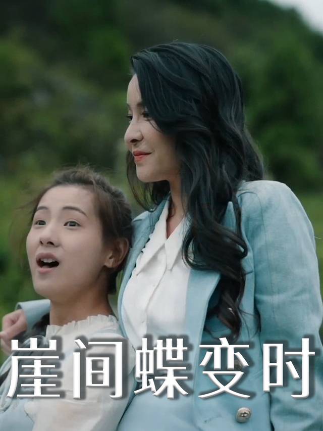 崖间蝶变时封面