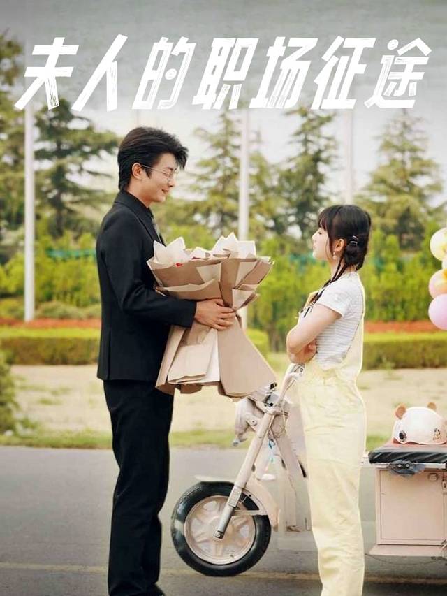 夫人的职场征途封面