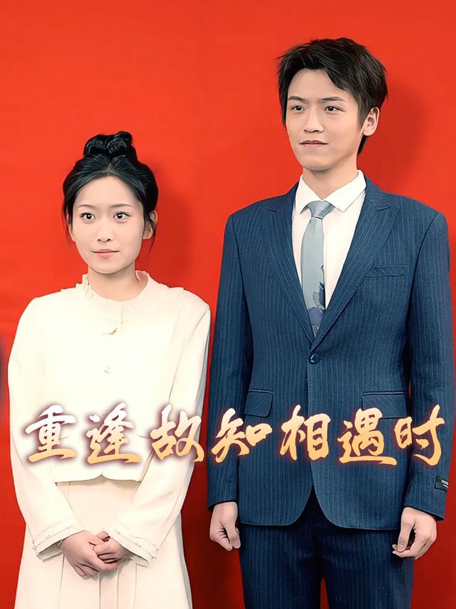 重逢故知相遇时封面