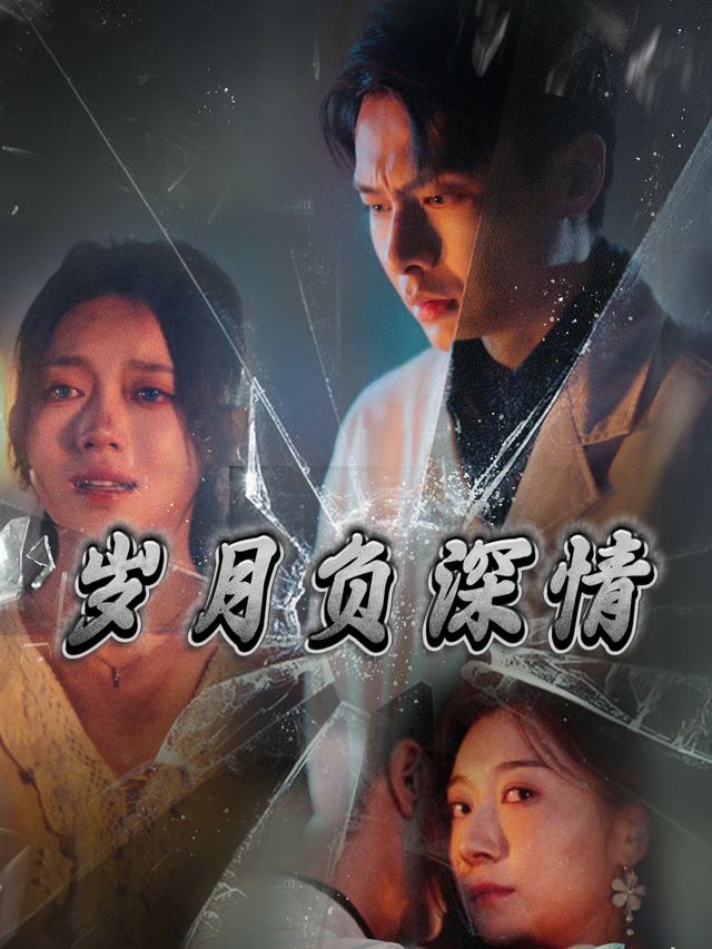 岁月负深情封面