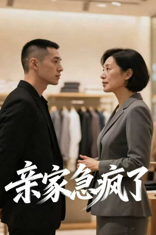 亲家急疯了封面