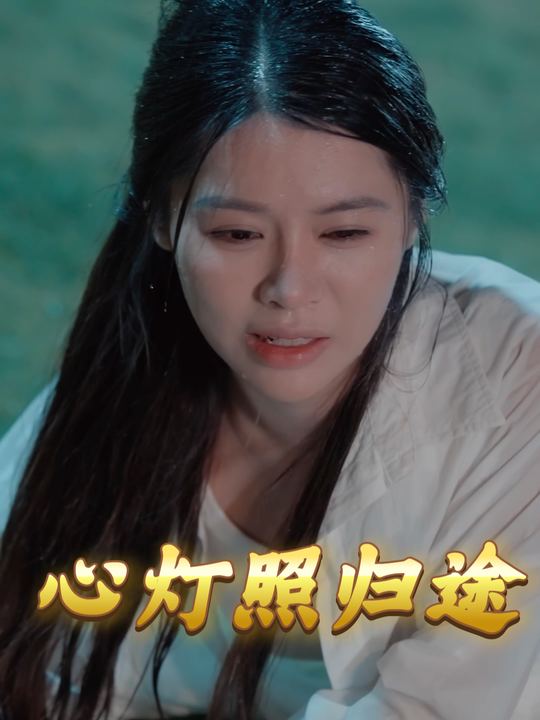 心灯照归途封面
